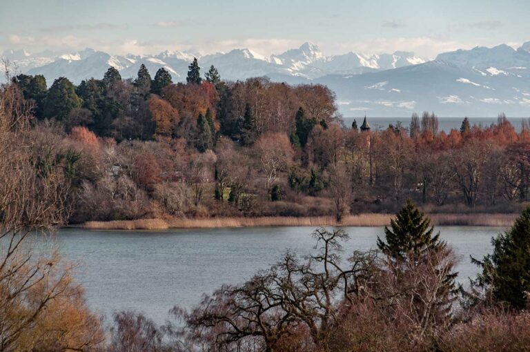 Inseln Im Bodensee - Alle Wichtigen Informationen