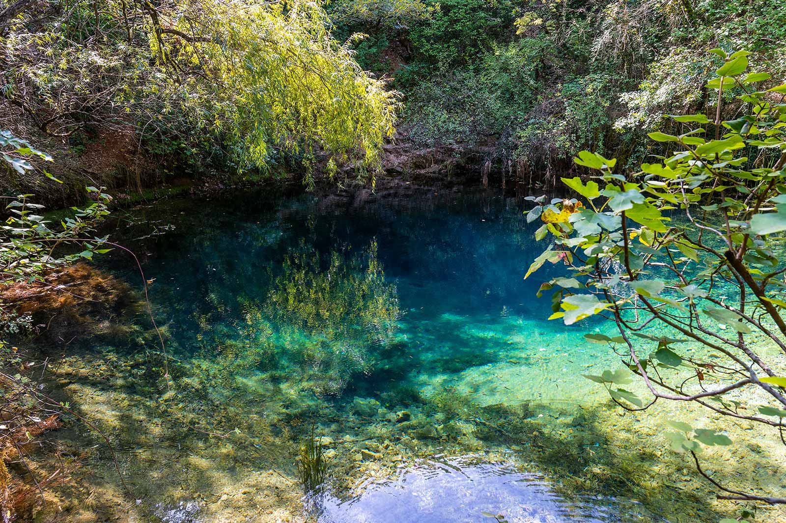 Die Font Vive ist eine geheimnisvolle Quelle inmitten der Wälder der Ardèche. Ihr Wasser leuchtet in vielen wunderschönen Farben.