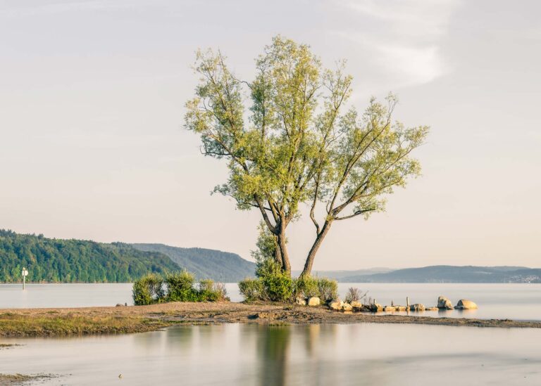 Bodensee - der größte See von Deutschland